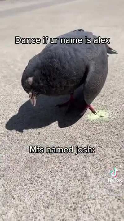 When your name isn&rsquo;t Alex