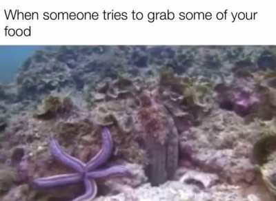 Fish are assholes just for being alive