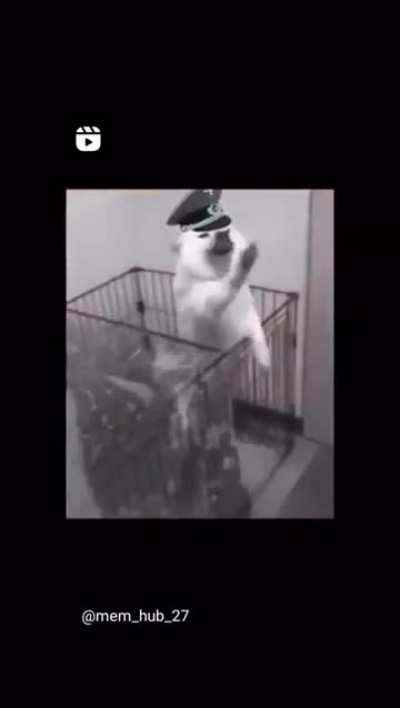 Sal