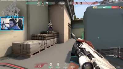 Perfectly cut gaming scream