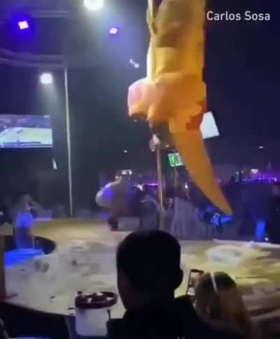 Para aquellos a quienes les gustan las Lagartonas