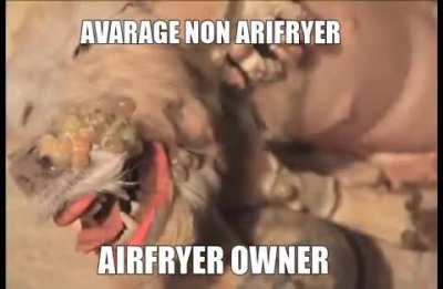 LE IDIOTIC NON ARFYUER OWNER