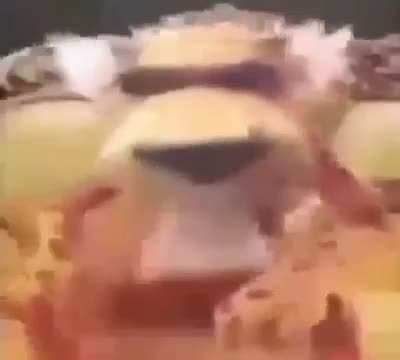 Title
