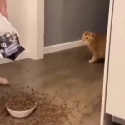 O.o