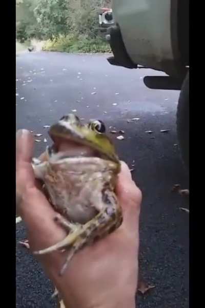 REEEEEEEEEEEEE