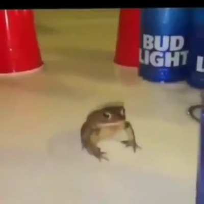 Ah o que &eacute; shitpost? Eu: