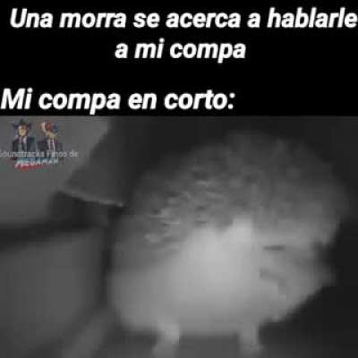 Mi amigo en corto: