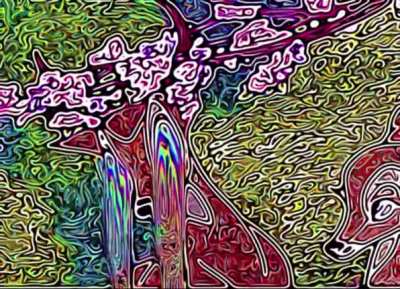 Found this on my phone, don&rsquo;t remember where its from