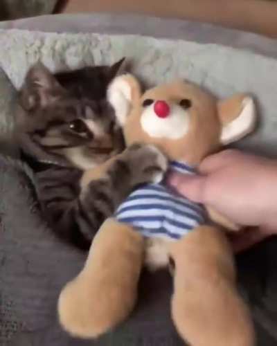 Доброй ночи рекабушники
