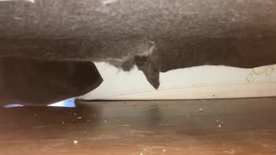 Making sure it&rsquo;s safe before reentry