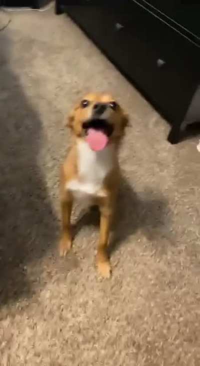 He&rsquo;s ready for the weekend, no?