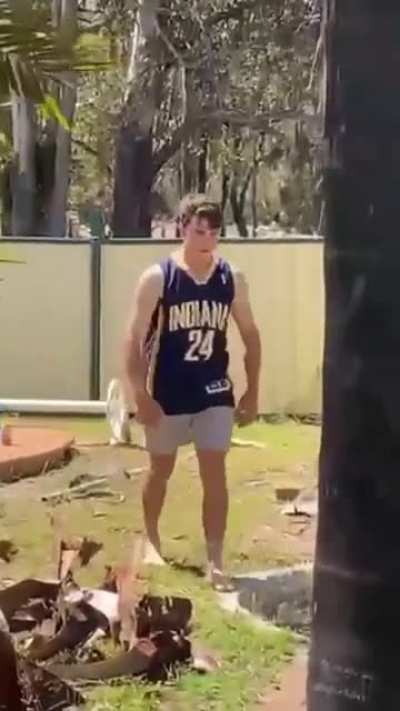 Man vs Tree