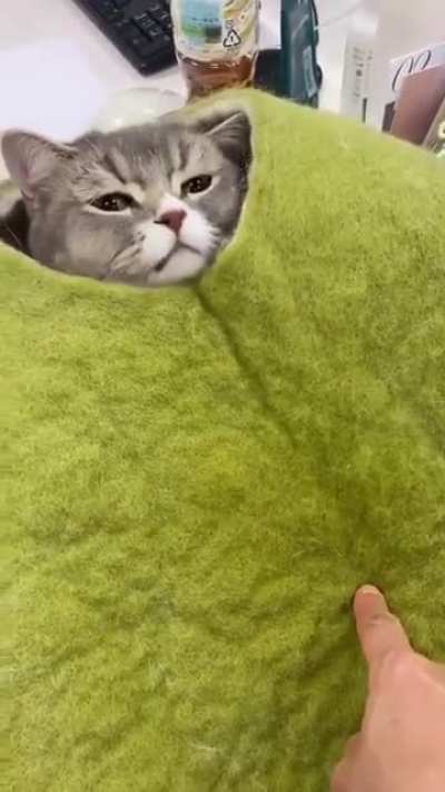 Oh hello