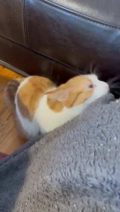 Mmmm blanket