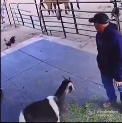 Not today