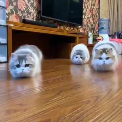 Oh Lawd They Coming!