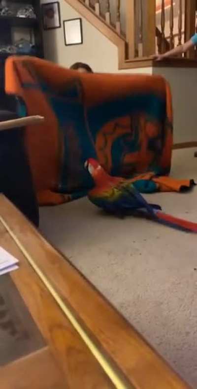 peekaboo A&Agrave;A&Acirc;A&Auml;A&Atilde;A&Aring;AĀA&Aacute;A