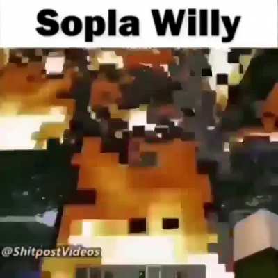 willy fue el causante de que las amazonas se quemaran
