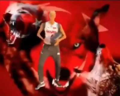 🐺🇹🇷