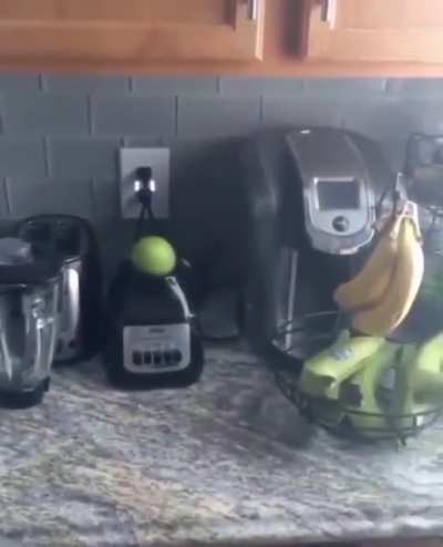 WTF,gringos siendo gringos