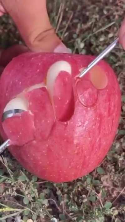 Apple tool