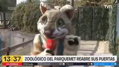 un monton