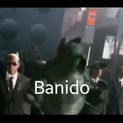 O ADM pode utilizar isso agora em,novo jeito de dizer.