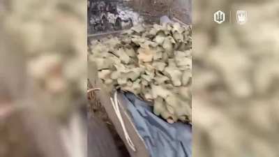 NSFW: A Russian soldier riding on a quad was eliminated and set on fire by an FPV drone of Ukraine&rsquo;s 414th UAV Brigade "Birds of Magyar." His comrade then recorded an assessment of the situation. Pokrovsk direction. Published 28.10.2025 [graphic content]