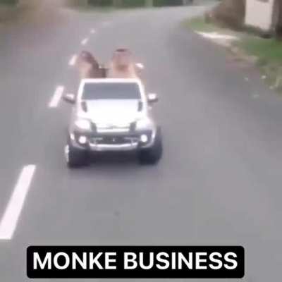 Business 😎😎