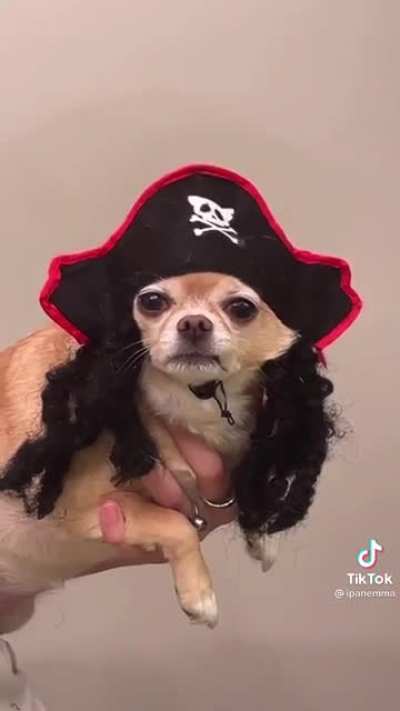 Pup costumes