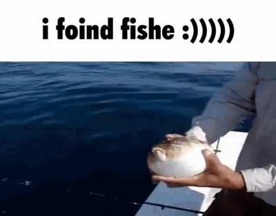 fishe!