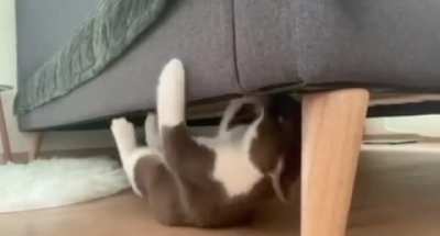 Call an exorcist!