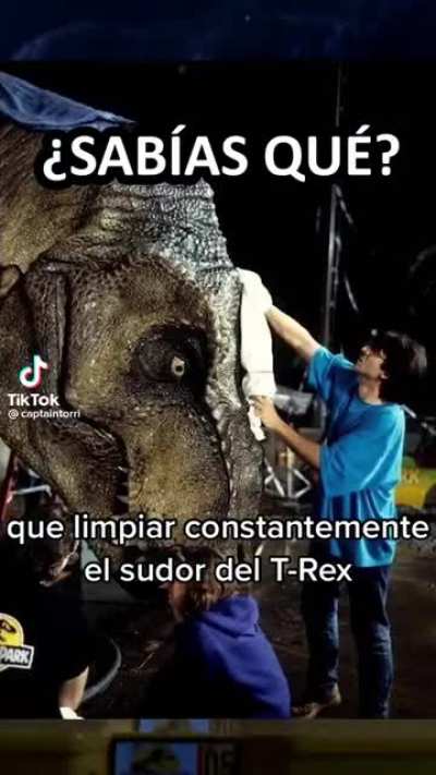 dato curioso