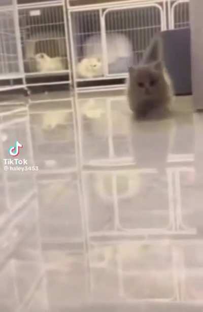 😨