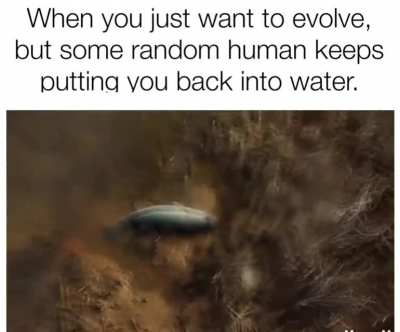 You can't stop the evolution.
