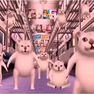 My last braincells