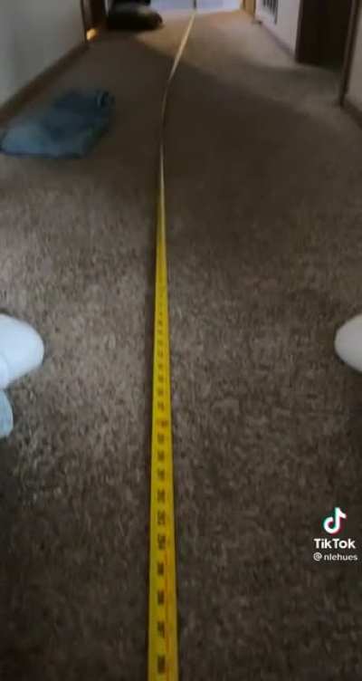 found on tiktok and it made my day
