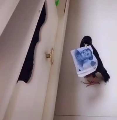 O crime perfeito