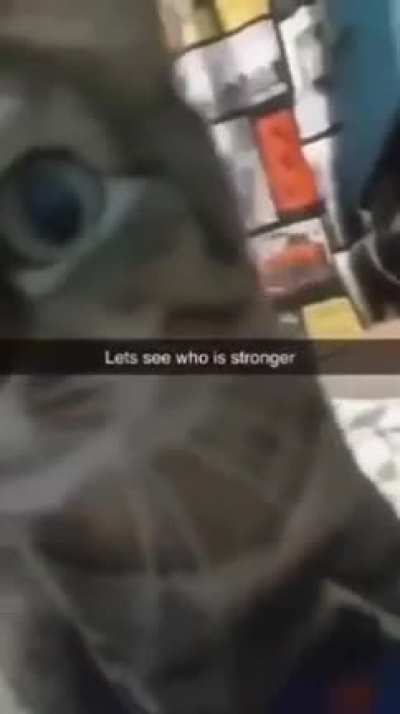 who's stronger?