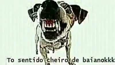 Cheirinho de baiano 😋