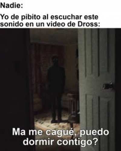 pinche perro miedo la verdad hasta de d&iacute;a me cago
