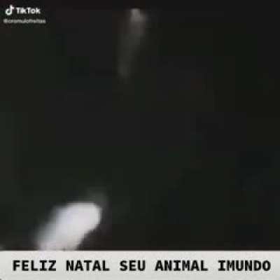 Feliz Natal seus Animais Imundos!