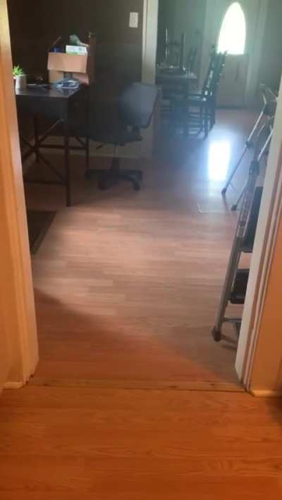 Pup is scared to walk through the doorway, so his brother shows him it&rsquo;s okay.