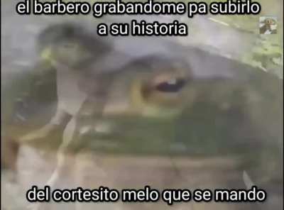 Se ve fresco Roberto