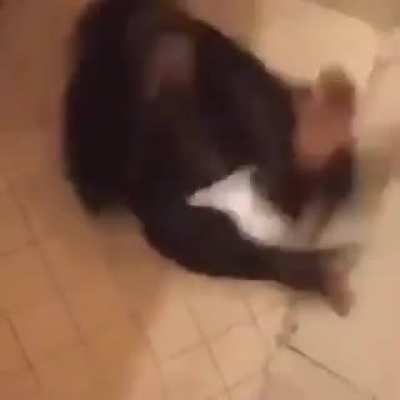 to sem titulo