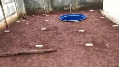 Brazilian pool