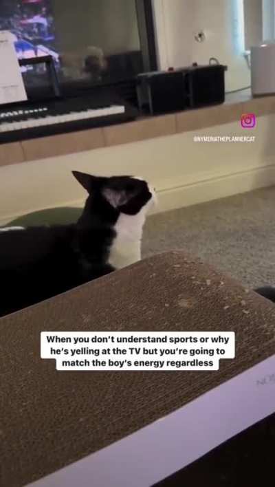 He's got the spirit 