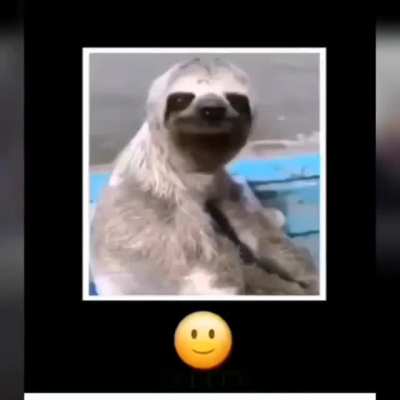 Amigo🙂