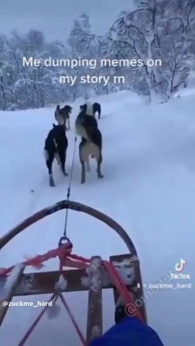 MAYBE MAYBE MAYBE