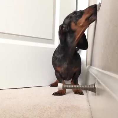 I can't stop watching this